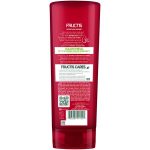 Garnier Fructis Color Shield Conditioner1