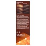 Revlon ColorSilk Beautiful Color™ Hair Color, Dark Brown2